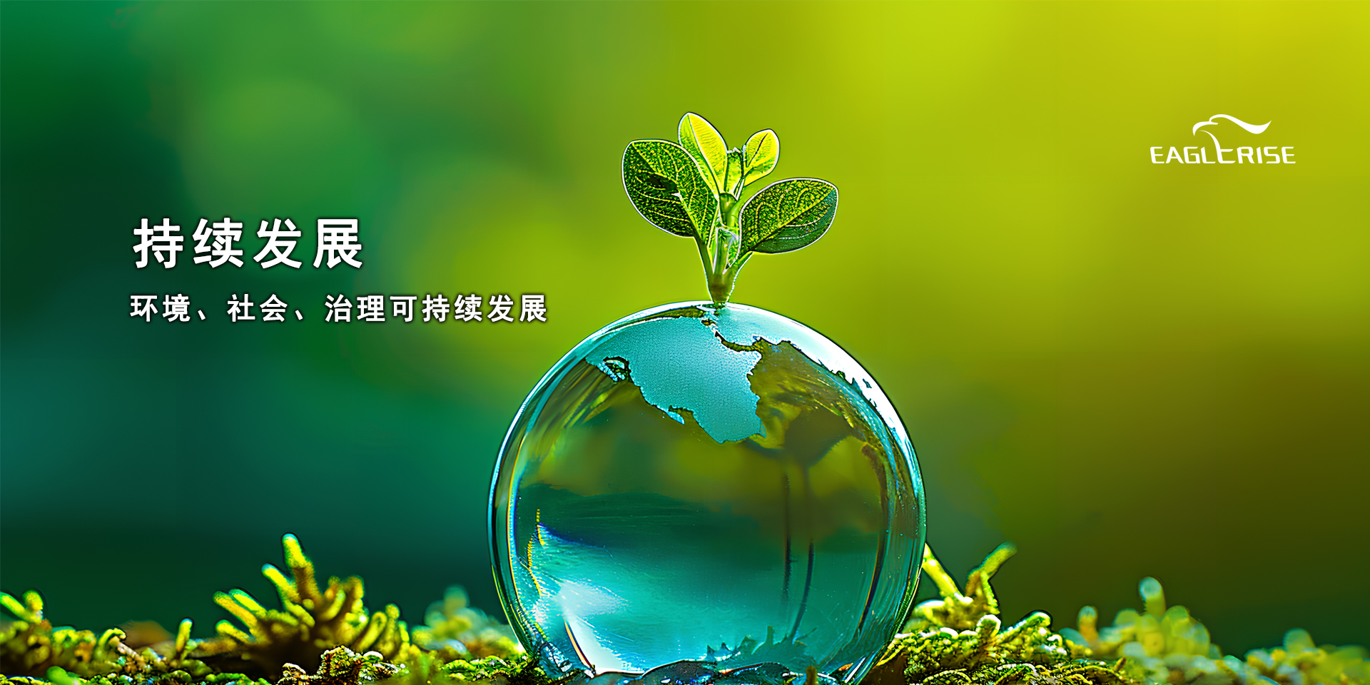 �ŵ�88(�й���)�ٷ���վ